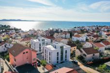 Apartment in Zadar - Adria Concept boutique apartments-B4 Summer Glamou