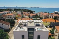 Apartment in Zadar - Adria Concept boutique apartments-B4 Summer Glamou